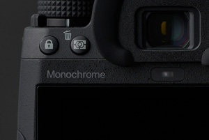 Design extérieur accordé à l’idée de photographie monochrome