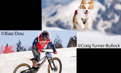 Autofocus par détection du sujet