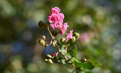 Une profondeur spectaculaire