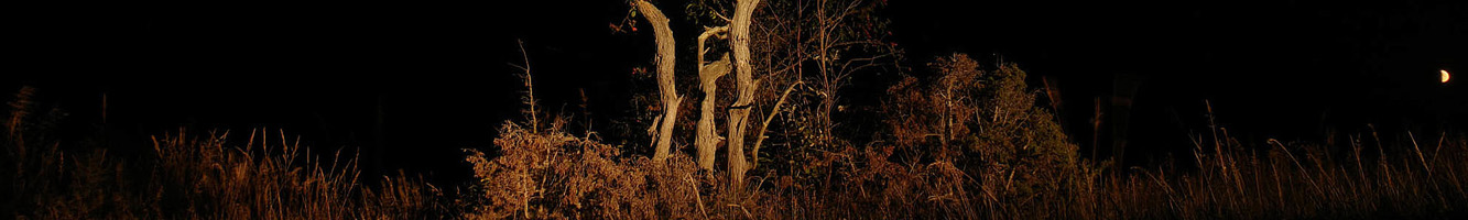 Utilisation simple et efficace