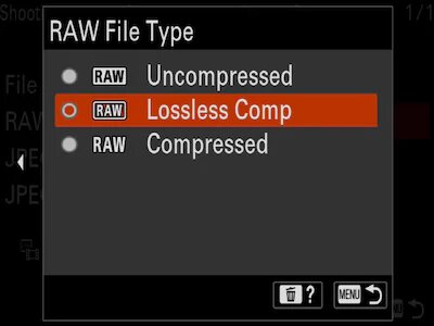 Format RAW compressé sans perte