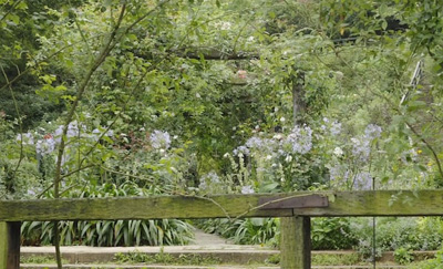 Enregistrement 4:2:2